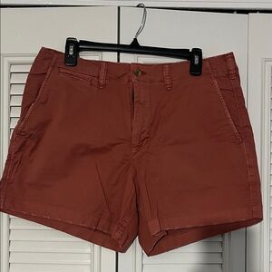American Eagle Outfitters Rust Flat Front Shorts